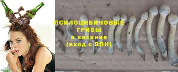 дурь Михайлов
