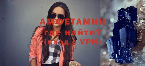 гидра Богородицк