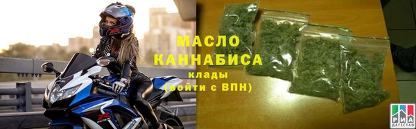 гидра Богородицк