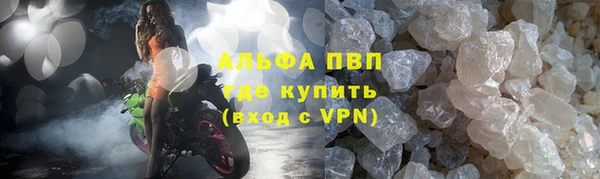 гидра Богородицк