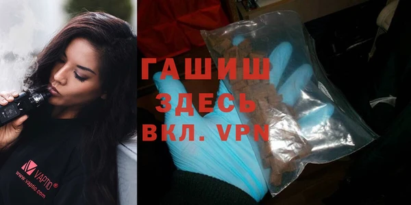гидра Богородицк