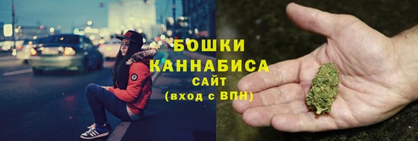 гидра Богородицк