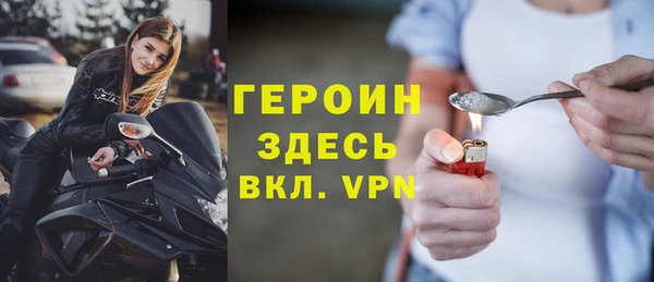 гидра Богородицк