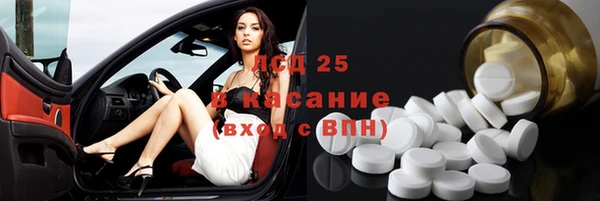 гидра Богородицк