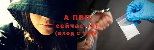 PSILOCYBIN Богородск