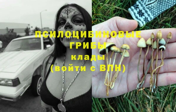 гидра Богородицк