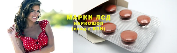 гидра Богородицк