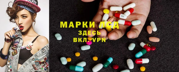 гидра Богородицк
