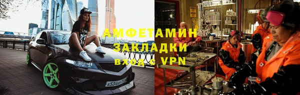 гидра Богородицк