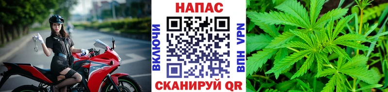 Бошки марихуана Ganja  Краснодар 